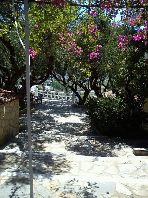 Sofos Apartments Tsilivi  Oda fotoğraf
